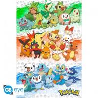 Poster Maxi Pokémon - Premiers Partenaires (Starters toutes générations) - 91,5 x 61 cm